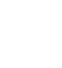 ayimun 32 council ECOSOC